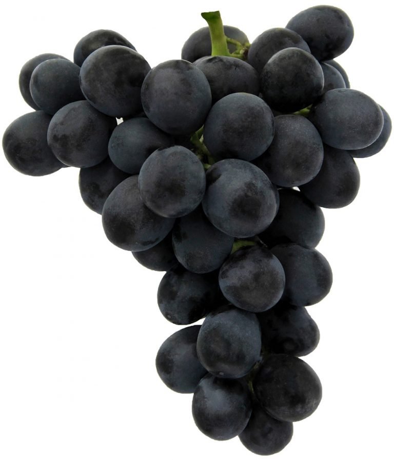 ADORA SEEDLESS® Australian Table Grape Association
