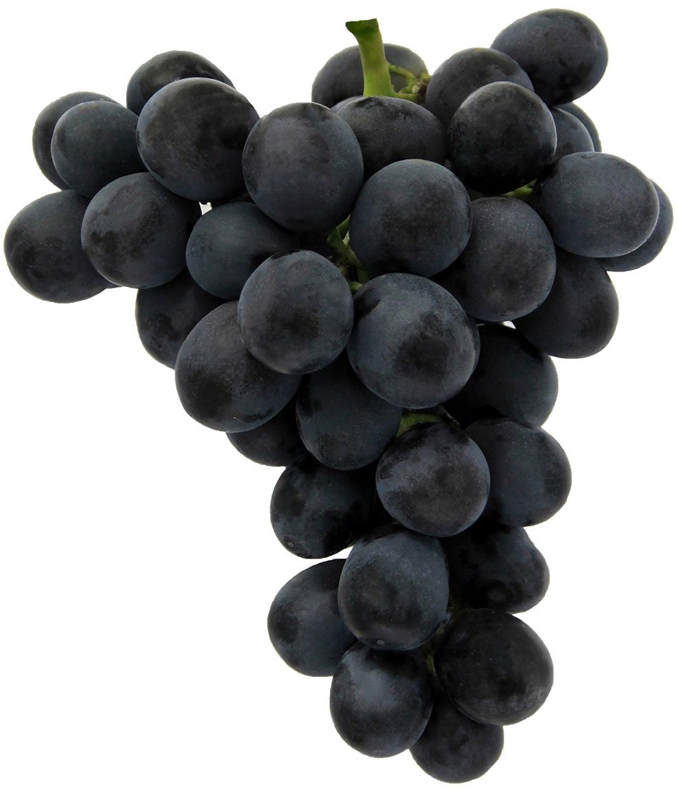 ADORA SEEDLESS Australian Table Grape Association