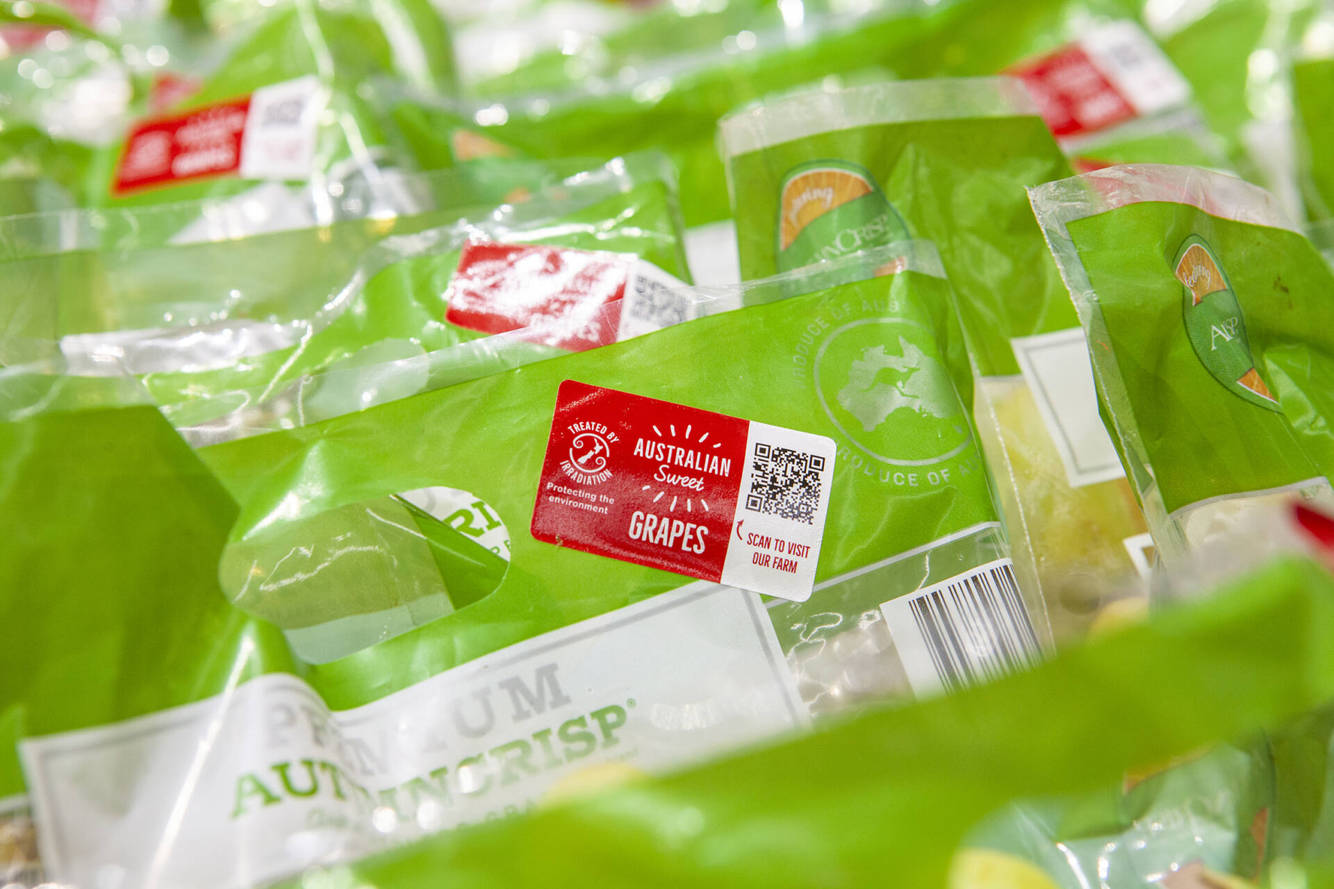 Global recognition for traceability pilot Australian Table Grape