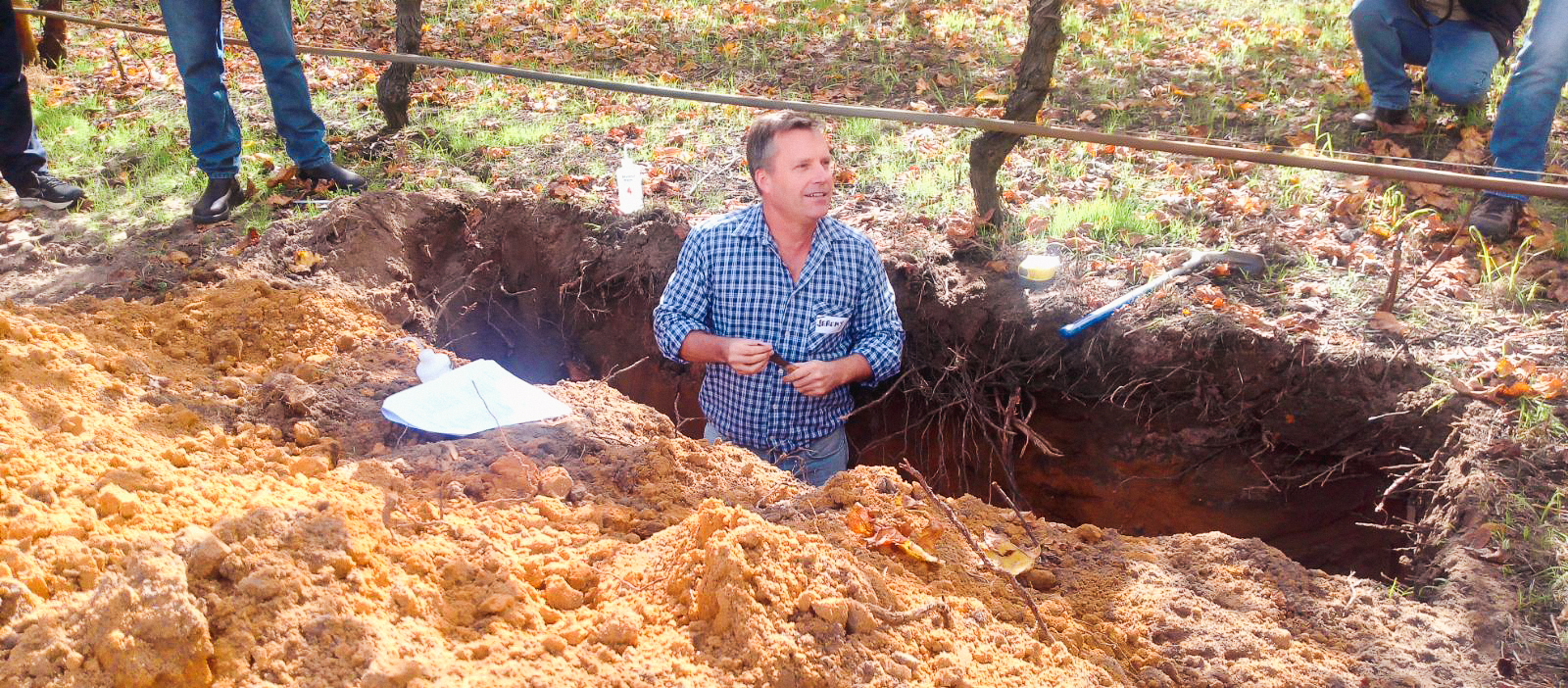 Swan Valley irrigation management Australian Table Grape