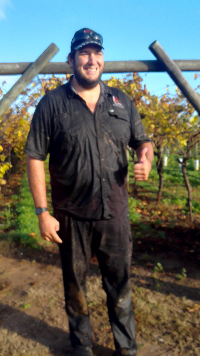 Swan Valley irrigation management Australian Table Grape