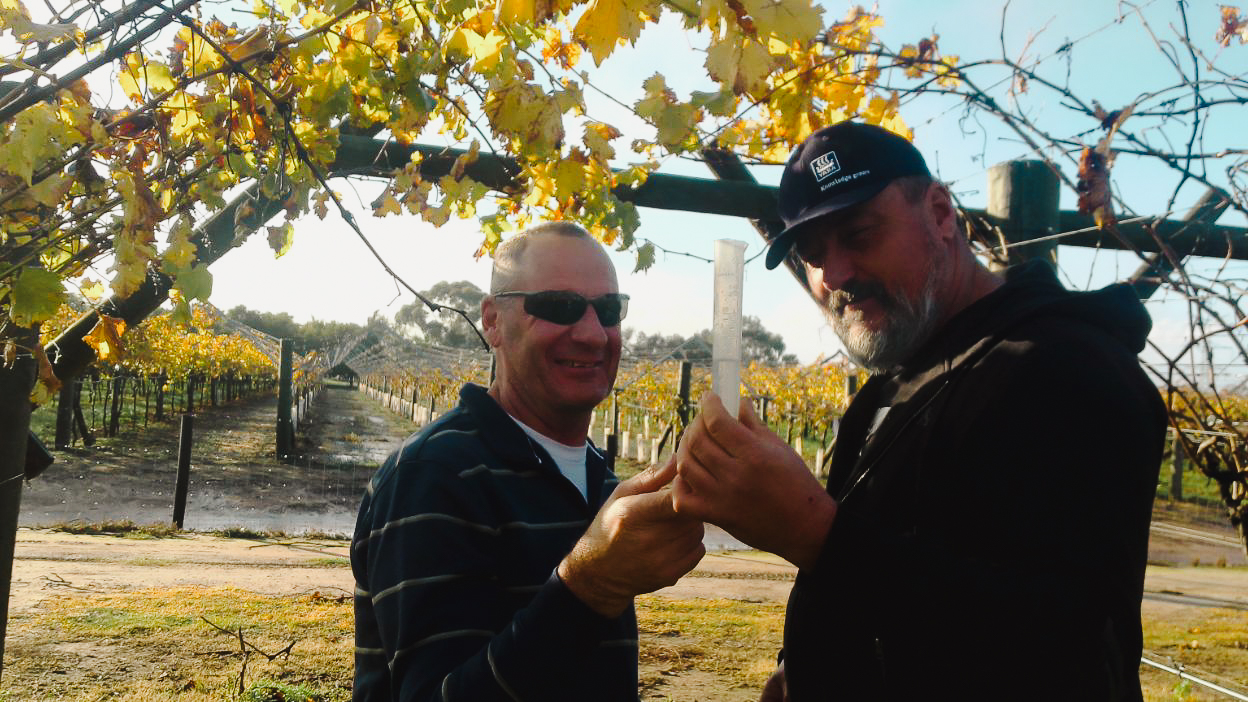 Swan Valley irrigation management Australian Table Grape